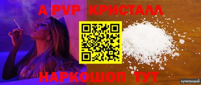 хмурый Шелехов