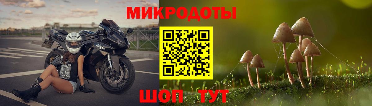 Галлюциногенные грибы GOLDEN TEACHER  Вход с VPN  Псилоцибиновые грибы мицелий  наркошоп  Валуйки 
